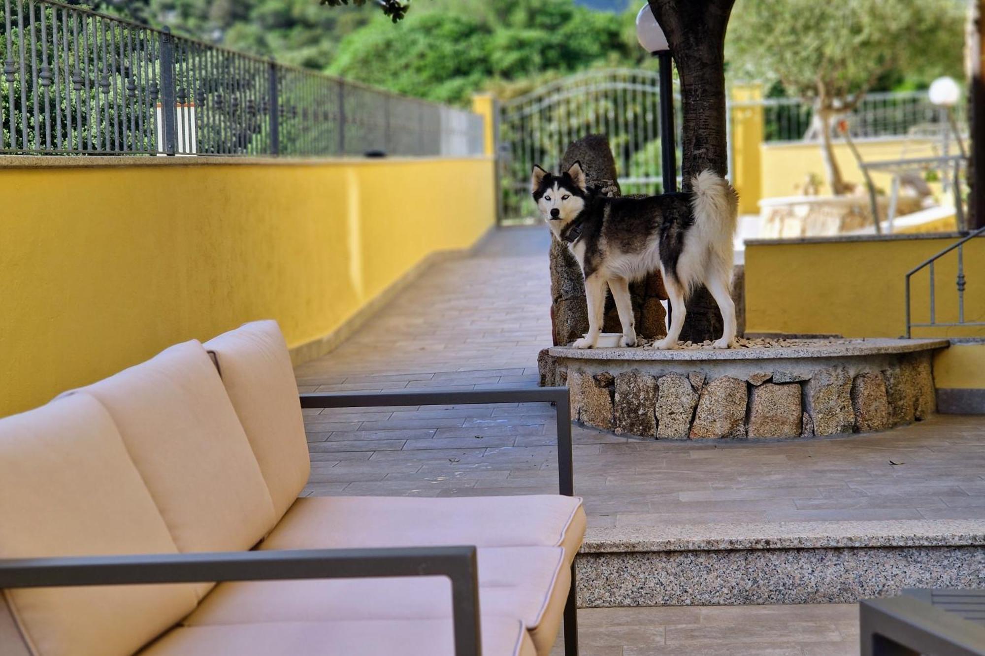 Sa Mamma E Sole B&B Cala Gonone Extérieur photo